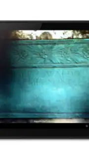 BillionGraves capture 11