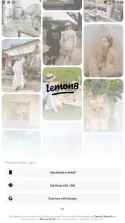 Lemon8 capture 7