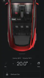 Tesla capture 3