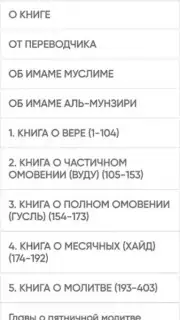 САХИХ МУСЛИМ capture 5
