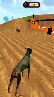 Doggy Dog Universe capture 7