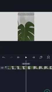 Alight Motion capture 7