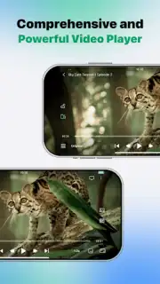 VidHub capture 6