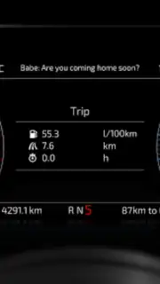RealDash capture 7