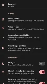YTDLnis capture 11