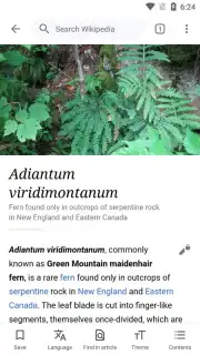 Wikipedia capture 9