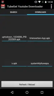 TubeGet Youtube Downloader capture 1