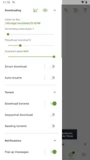 Advanced Download Manager capture 10