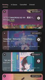 YTDLnis capture 8