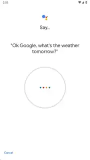 Google Assistant capture 16