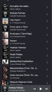 FLAC Music capture 2