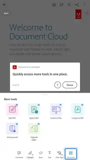 Adobe Acrobat Reader capture 7