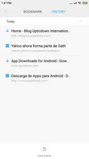 Mint Browser capture 11