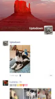 WeChat capture 17