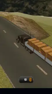 Truck Driver 3D capture 3