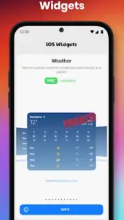 iOS Widgets capture 1