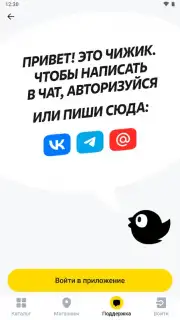 Чижик capture 5