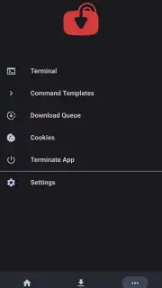 YTDLnis capture 21