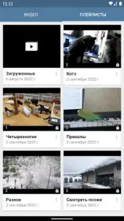 Video App for VK capture 3