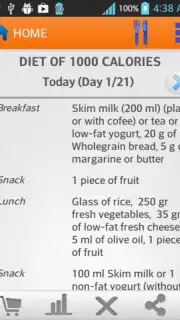 Diets for losing weight capture 4
