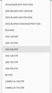 Shadowsocks capture 22