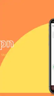 Fz VPN capture 3
