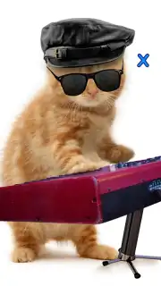 Talking, Dancing Cat. capture 7