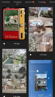 Wink capture 13