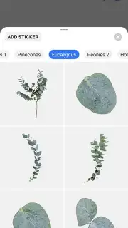 Pixelcut capture 3