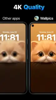 Wallpics capture 7