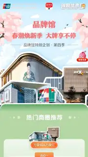 UnionPay capture 8