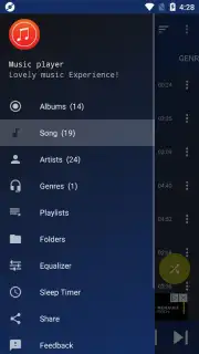 MP3 Music Player capture 1