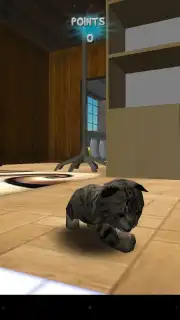 Cat Simulator capture 4