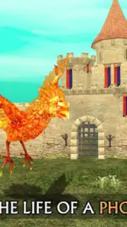 Phoenix Sim capture 7