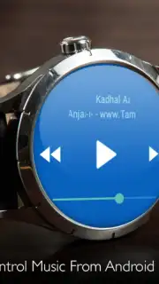 Музыкальный плеер capture 1
