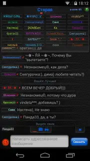 Теневой чат capture 4
