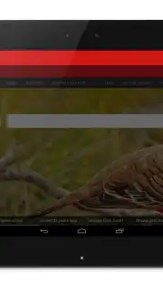 Anonymous Browser capture 4