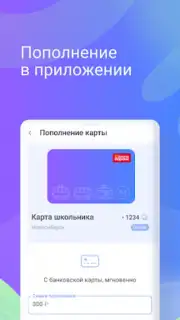 Транспортная карта capture 6