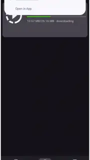 VidMad Video Downloader capture 4