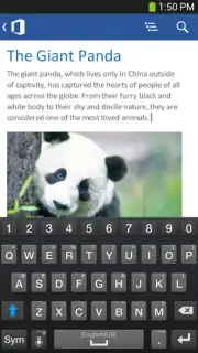 Microsoft Office Mobile capture 1