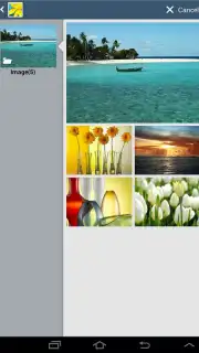 Fake Camera capture 2