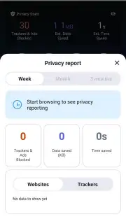 Brave Browser capture 2