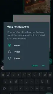 WhatsApp Messenger capture 11