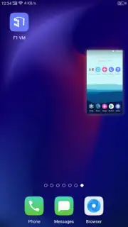F1 VM capture 7