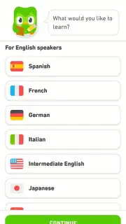 Duolingo capture 1