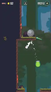 Super Fowlst capture 9