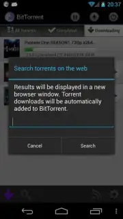 BitTorrent capture 4