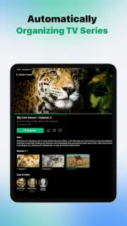 VidHub capture 16