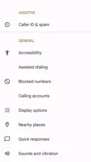 Phone by Google capture 10