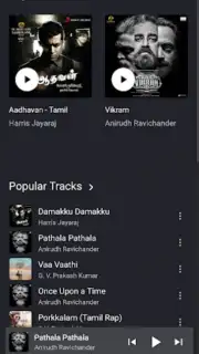 FLAC Music capture 5